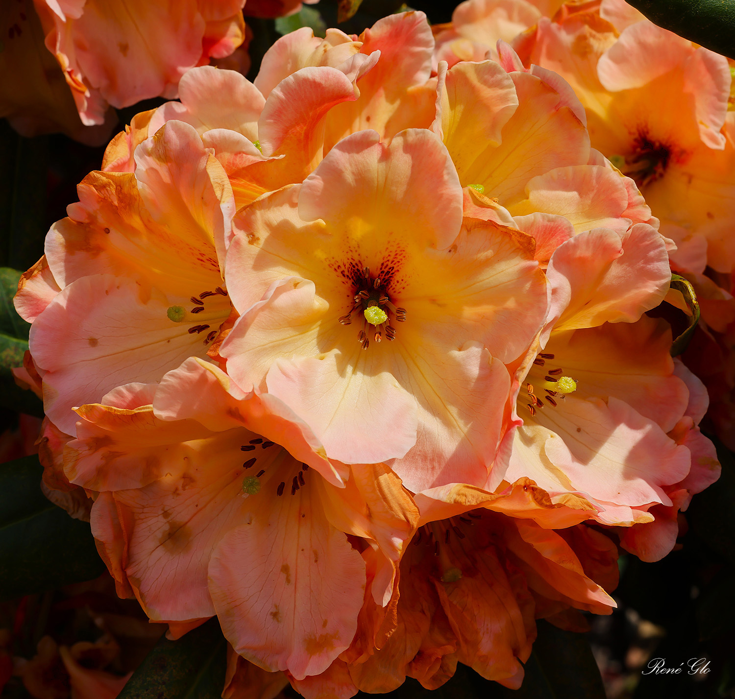 024