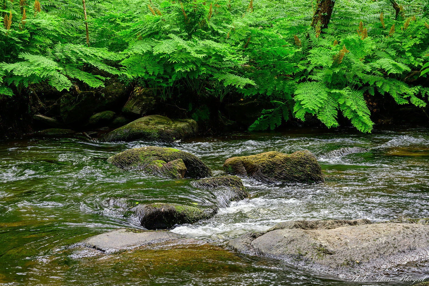 006