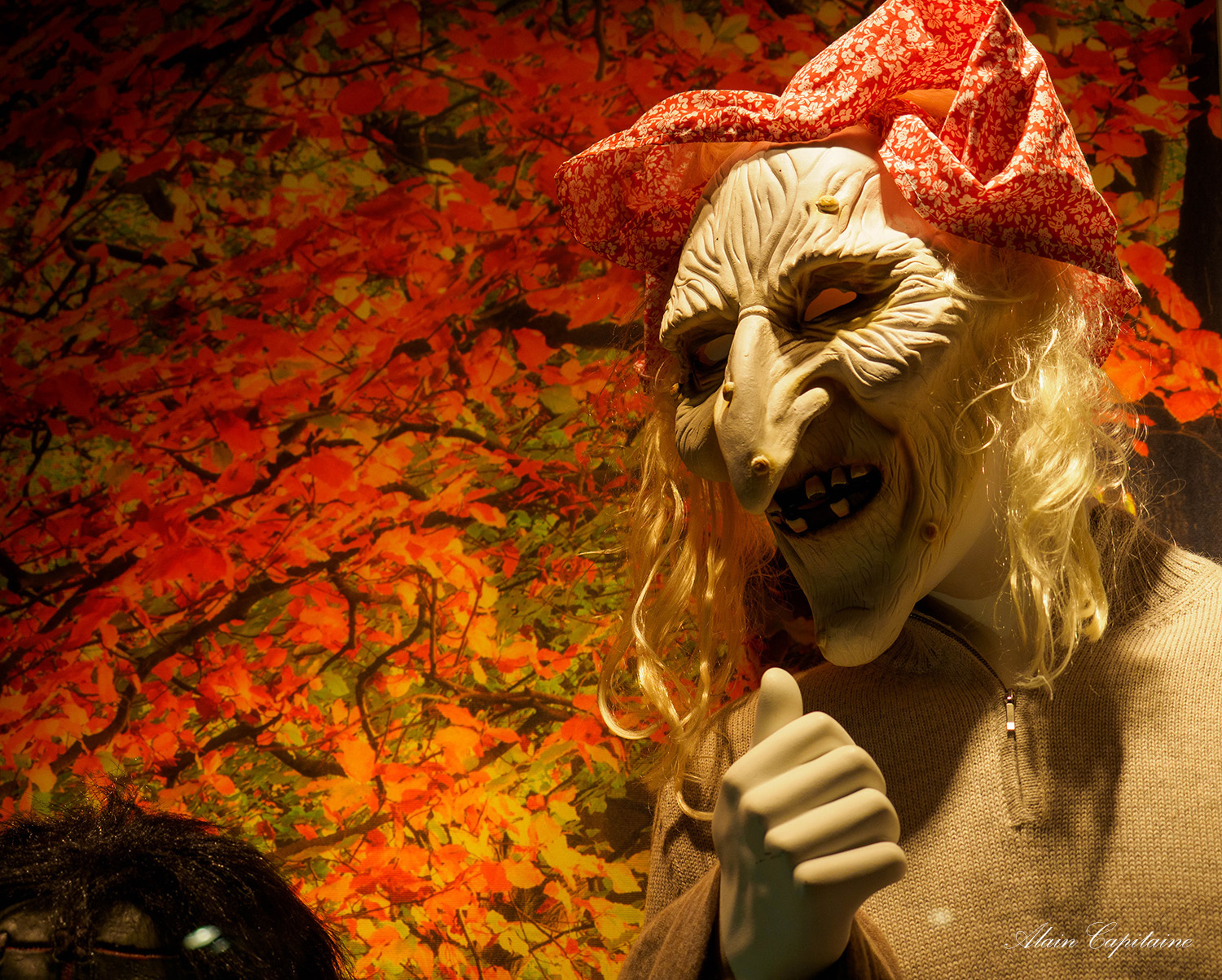 OLYMPUS DIGITAL CAMERA