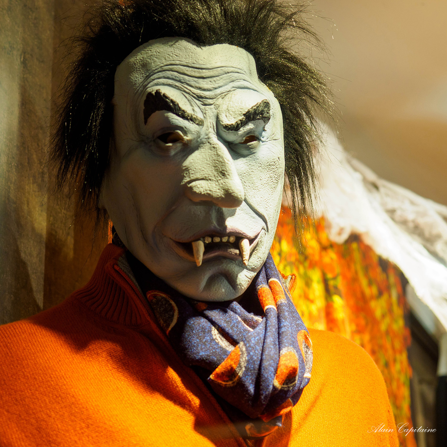 OLYMPUS DIGITAL CAMERA