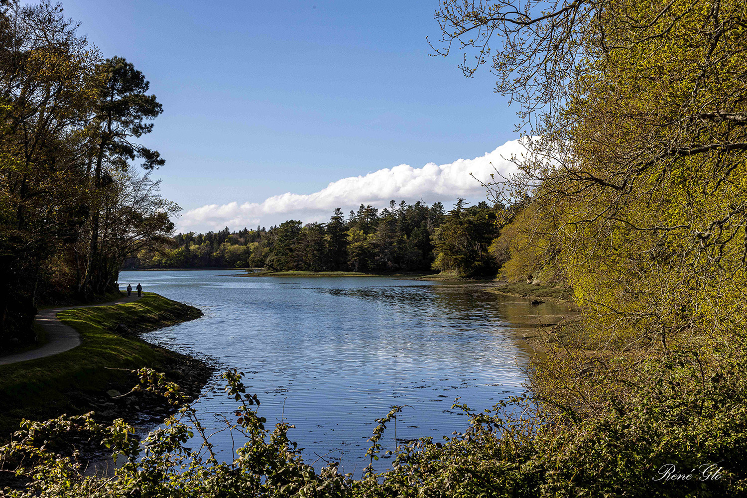 017